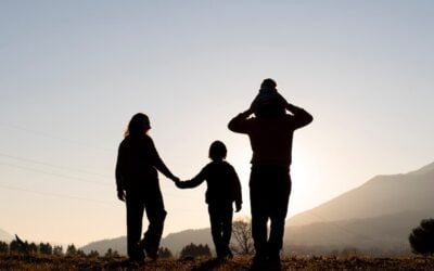 Chaos To Cohesion Mequon Collaborative Divorce Lawyers From Chaos To Cohesion With Mequon Collaborative Divorce Lawyers
