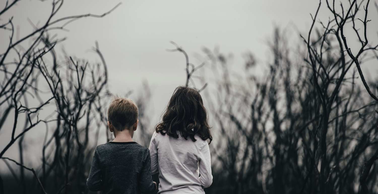 Why Hiring a Waukesha Family Lawyer is Crucial for Child Custody Cases