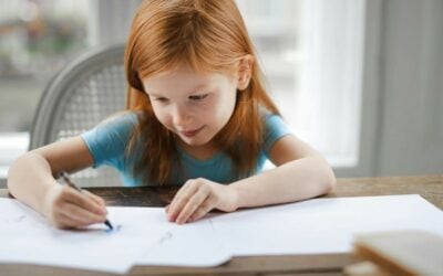 Child Support Challenges Chicago How To Overcome Child Support Challenges In Chicago And How To Overcome Them