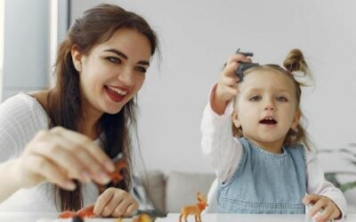 Establishing A Safe Harbor In Child Custody Cases With Chicago Lawyers