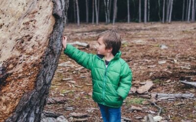 A Guiding Hand Through West Bend'S Child Support Process