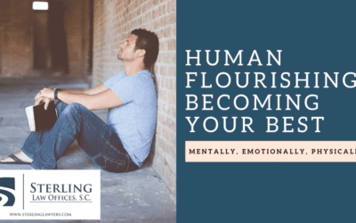 How To Approach Transitions During Family Law Matters