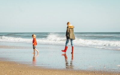 Insight Legal Journey Racine Child Custody Lawyers Insight Into The Legal Journey Of Racine Child Custody Lawyers