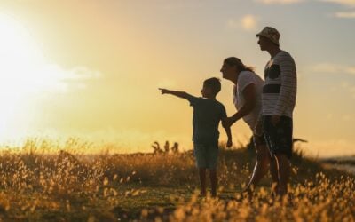 Protecting Welfare Families Green Bay Child Support Lawyers Protecting The Welfare Of Families With Green Bay Child Support Lawyers