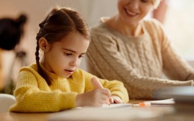 Unraveling Legal Intricacies Of Child Support With Naperville Lawyers