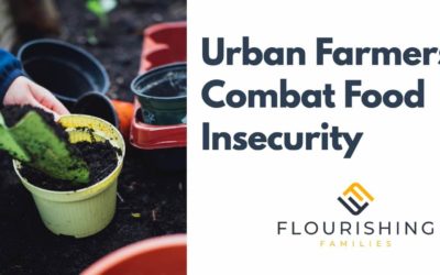 Urban Gardening As A Solution For Food Insecurity And Development Of Communities
