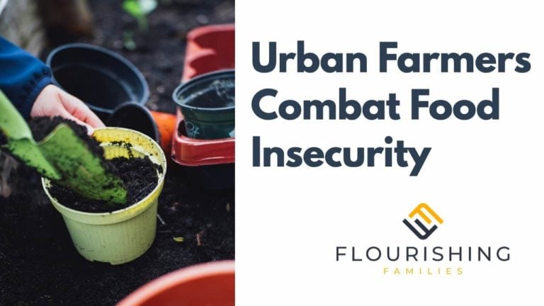Urban Gardening As A Solution For Food Insecurity And Development Of Communities